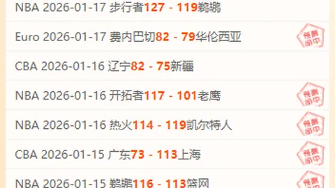 “本泽马资料一览”