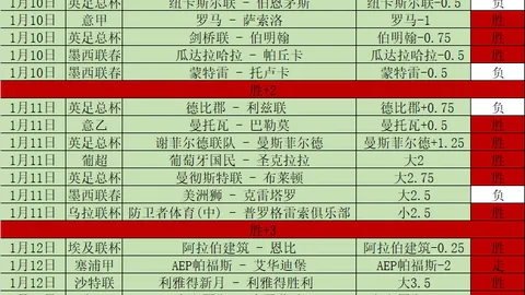 “2025年中国雪地排球国际邀请赛盛大开幕在即”