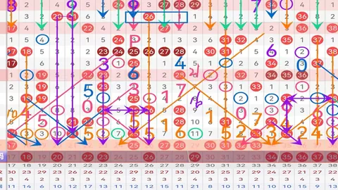 双色球2026年024期专家精准推荐杀一蓝及规律探讨